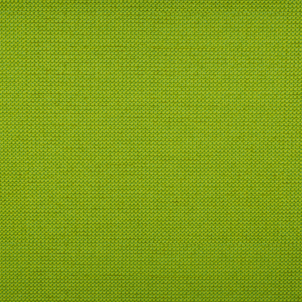 Michelangelo-Lime